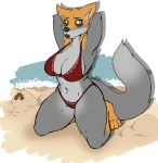  anthro arms_above_head beach big_breasts bikini breasts canine clothed clothing dannyg female hands_behind_head kneeling looking_at_viewer makeup mammal outside seaside solo swimsuit 