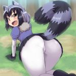  :d all_fours animal_ears arched_back ass bangs black_gloves black_hair black_skirt blue_sweater blush bodystocking brown_eyes commentary_request common_raccoon_(kemono_friends) day extra_ears fang foreshortening from_behind fur_collar gloves grass grey_hair impossible_clothes kemono_friends long_sleeves looking_at_viewer microskirt multicolored_hair open_mouth outdoors pleated_skirt puffy_short_sleeves puffy_sleeves raccoon_ears raccoon_tail short_hair short_over_long_sleeves short_sleeves skin_tight skirt smile solo striped_tail subarutu sweater tail 