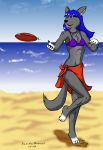  beach bikini blue_hair canine clothing female frisbee hair invalid_color lionclaw1 mammal playing sand seaside solo swimsuit water wolf 
