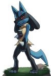  3_fingers 3_toes ambiguous_gender angry blue_fur blush canine covering covering_self front_view fur grass katahane3 lucario mammal nintendo nude pok&eacute;mon pok&eacute;mon_(species) red_eyes simple_background solo spikes standing tears teeth toes video_games white_background yellow_fur 