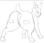 2018 anus bedroom_eyes big_butt butt butt_focus carachaos digital_drawing_(artwork) digital_media_(artwork) eyelashes fak&eacute;mon feline female full-length_portrait fur greyscale half-closed_eyes looking_at_viewer looking_back mammal markings monochrome nintendo open_mouth pok&eacute;mon portrait presenting presenting_hindquarters pussy raised_tail rear_view seductive simple_background smile solo thick_thighs tongue tongue_out unknown_artist video_games white_background 