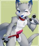  2018 5_fingers anthro black_claws black_pawpads blue_eyes blue_fur blue_tongue chest_tuft claws clothing collar cute_fangs dragon ear_tuft erection fur furred_dragon grey_fur grey_tail kanookies knot looking_at_viewer male open_mouth pawpads paws penis pointing_at_viewer presenting presenting_penis senky solo tapering_penis teeth tuft underwear white_belly white_fur 