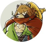  2018 anthro brown_fur canine clothing fur gyobu hat leaf male mammal okudami overweight overweight_male robe scar solo tanuki tokyo_afterschool_summoners 