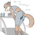  2018 anthro bent_over blue_eyes butt canine clothed clothing eddiew english_text female fur hair knees_together_feet_apart legwear mammal omorashi open_mouth orange_fur peeing shaking slim solo standing text tongue urine watersports wet wetting 