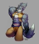  2018 5_fingers abs anthro biceps canine chest_tuft clothed clothing digital_media_(artwork) fingerless_gloves fur gloves gundam gundam_build_divers hair hi_res male mammal muscular muscular_male solo tigerwolf_(gundam_build_divers) tuft wolf wolfmalro 