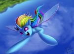  2018 alternate_species changeling fangs female flying foughtdragon01 friendship_is_magic hair horn insect_wings looking_at_viewer multicolored_hair my_little_pony outside purple_eyes rainbow_dash_(mlp) rainbow_hair solo wings 