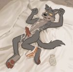  2018 3_toes after_orgasm animal_genitalia animal_penis anthro balls bed canine canine_penis clothing cum cum_covered cum_drip cum_in_mouth cum_inside cum_on_balls cum_on_chest cum_on_face cum_on_leg cum_on_self cum_on_stomach dripping erection father father_and_son half-closed_eyes hi_res implied_incest knot looking_pleasured male mammal messy nude orf parent penis reclining sam_(orf) solo son toes underwear wolf yellow_sclera 