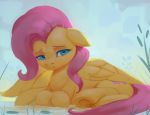  2018 cutie_mark equine feathered_wings feathers female feral fluttershy_(mlp) friendship_is_magic hair hooves long_hair mammal my_little_pony pegasus rodrigues404 solo wings 