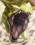  2017 dragon drooling gaping_mouth imminent_vore kelenkenwithfangs looking_at_viewer male mouth_shot realistic saliva scales scalie seres_(seresdragon) solo teeth throat tongue vore 