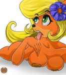  anthro areola bandicoot blonde_hair breasts coco_bandicoot crash_bandicoot_(series) drooling eyebrows eyelashes female flower flower_in_hair green_eyes grizzlydafurry_(artist) hair licking long_hair mammal marsupial meme nipples nude open_mouth pedobear plant saliva simple_background solo teeth tongue tongue_out video_games white_background 