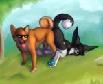  2018 anthro anthro_on_feral bestiality blush canine chelsea_chamberlain couple_(disambiguation) dog drooling eyewear female feral fucked_silly fuzzywuff karelian_bear_dog knotting male mammal nude outside rags rags_(youtuber) saliva sex shiba_inu simple_background sunglasses tongue tongue_out 