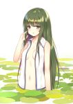  bangs bare_arms bare_shoulders blush breasts collarbone commentary cowboy_shot eyebrows_visible_through_hair flan_(seeyouflan) green_eyes green_hair hand_in_hair hand_up highres ke-ta_(style) kochiya_sanae lily_pad long_hair looking_at_viewer medium_breasts navel open_clothes open_shirt parted_lips shirt sidelocks simple_background sleeveless sleeveless_shirt solo stomach touhou very_long_hair wading white_background white_shirt wing_collar 