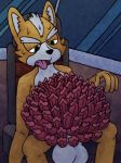  anthro balls big_balls big_penis canine cannot_unsee fox fox_mccloud huge_penis lol_comments male mammal miles57 multi_penis nintendo penis sitting solo star_fox video_games what what_has_science_done 