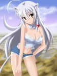  1girl ahoge animal_ears banemumu blush braid breasts bustier cat_ears cleavage dog_days large_breasts leonmitchelli_galette_des_rois long_hair looking_at_viewer midriff navel short_shorts shorts silver_hair smile tail thong very_long_hair yellow_eyes 