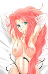  fire_emblem tagme titania 