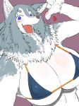  &lt;3 anthro big_breasts blue_eyes bra breasts canine claws cleavage clothed clothing digital_media_(artwork) dog fangs female fluffy fur grey_fur hi_res huge_breasts inner_ear_fluff looking_at_viewer mammal multicolored_fur nipple_bulge open_mouth pawpads paws selfie simple_background smile solo teeth toco_(artist) tongue two_tone_fur underwear white_fur 