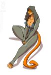  2018 anthro bra breasts cat cleavage clothed clothing conditional_dnp feline female fur green_eyes hood jollyjack mammal orange_fur simple_background solo underwear white_background 