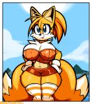  big_breasts breasts canine clothing crossgender dreamcastzx1 female fox huge_breasts knee_socks legwear mammal miles_prower skirt socks sonic_(series) 