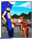  dreamcastzx1 fellatio female hedgehog hi_res male mammal marine_the_raccoon oral penis procyonid raccoon sex size_difference sonic_(series) sonic_the_hedgehog vein veiny_penis 