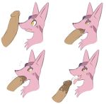  2018 canine chest_tuft cum cum_in_mouth cum_inside cum_on_tongue digital_drawing_(artwork) digital_media_(artwork) disembodied_penis ejaculation erection eyeliner fak&eacute;mon fangs fellatio female feral frown fur gem half-closed_eyes hissune hybrid long_penis looking_pleasured makeup male male/female mammal markings multicolored_fur nude open_mouth oral oral_penetration penetration penis pink_body pink_fur purple_markings saliva sex simple_background smile sucking tongue tongue_out tuft unknown_artist video_games white_fur yellow_eyes 