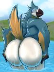  2018 avian beak big_butt bird blue_feathers breath_of_the_wild butt clothed clothing crashwolf feathers huge_butt kass_(zelda) lake male muscular muscular_male nintendo open_mouth outside rito sky smile solo tail_feathers the_legend_of_zelda thick_thighs topless video_games water wet winged_arms wings 