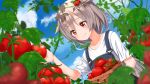  ame. azur_lane bangs basket blue_sky blush closed_mouth cloud collarbone commentary_request day dutch_angle eyebrows_visible_through_hair hair_between_eyes hair_flaps hair_ornament hand_up harvest montpelier_(azur_lane) outdoors overalls red_eyes shirt short_sleeves silver_hair sky smile solo tomato tomato_hair_ornament white_shirt 