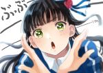  absurdres bangs black_hair blunt_bangs catchphrase crossed_arms face flower green_eyes hair_flower hair_ornament highres kawaoka_(tsuchinokome) kurosawa_dia long_hair looking_at_viewer love_live! love_live!_sunshine!! mole mole_under_mouth open_mouth shouting solo x_arms 