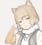  animal_ears blonde_hair closed_mouth elbow_gloves fox_ears fur_collar gloves grey_background highres hiranko kemono_friends looking_at_viewer protected_link simple_background sketch solo tibetan_sand_fox_(kemono_friends) upper_body vest yellow_eyes 