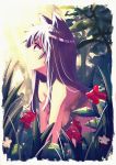 akino_sora animal_ears beltbra closed_mouth commentary day flower from_side grass highres long_hair looking_up original outdoors profile purple_hair red_eyes red_flower solo symbol_commentary 