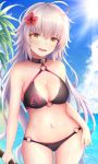  :d ahoge bangs bare_arms bare_shoulders bikini black_bikini black_choker blue_sky blush brown_eyes choker cloud collarbone covered_nipples cowboy_shot day endsmall_min eyebrows_visible_through_hair fate/grand_order fate_(series) flower groin hair_between_eyes hair_flower hair_ornament highres horizon jeanne_d'arc_(alter_swimsuit_berserker) jeanne_d'arc_(fate)_(all) long_hair o-ring o-ring_bikini o-ring_bottom o-ring_top ocean open_mouth outdoors red_flower sidelocks silver_hair sky smile solo standing sunlight swimsuit v-shaped_eyebrows very_long_hair water 