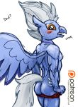  anthro anthrofied avian blush butt clothing first_person_view friendship_is_magic hippogryph looking_a_viewer male mature_male my_little_pony sketch sky_beak smudge_proof solo undressing 