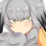  bangs bird_wings blush closed_mouth eyebrows_visible_through_hair frown green_eyes grey_legwear hair_between_eyes head_wings highres kemono_friends long_hair looking_at_viewer mugi_(user_khzh5853) multicolored_hair orange_hair shoebill_(kemono_friends) side_ponytail silver_hair simple_background solo white_background wings 