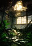  blurry blurry_foreground broken commentary_request day depth_of_field highres indoors light_particles mocha_(cotton) original ruins scenery sunlight tanuki window 