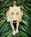  all_fours animal_ear_fluff animal_ears animal_print blonde_hair blush bow bowtie center_frills commentary_request dorongbug elbow_gloves eyebrows_visible_through_hair fur_collar gloves grass jaguar_(kemono_friends) jaguar_ears jaguar_print jaguar_tail kemono_friends korea looking_at_viewer multicolored_hair shirt short_hair short_sleeves smile solo t-shirt tail 