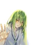  against_fourth_wall enkidu_(fate/strange_fake) eyebrows_visible_through_hair eyes_visible_through_hair fate/strange_fake fate_(series) green_hair hand_up kangetsu_(fhalei) long_hair looking_at_viewer male_focus parted_lips robe simple_background solo upper_body white_background yellow_eyes 