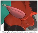  anal anal_penetration animal_genitalia avian balls balls_touching black_fur canine close-up clothed clothing colrblnd_(artist) comic cum cumshot days_fetler dog duzt_(artist) ejaculation erection fur grey_fur gryphon malamute male male/male mammal measureup orgasm penetration penis red_fur sex sheath shirt t-shirt 