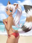  :3 animal_ears ass bangs beach bikini blue_eyes breasts cristalavi day freckles from_side highres long_hair looking_at_viewer looking_back medium_breasts original outdoors parted_lips ponytail red_bikini side-tie_bikini solo string_bikini swimsuit tail untied untied_bikini white_hair 