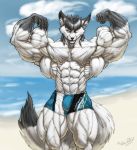  acommonmisconception anthro beach bulge canine clothed clothing djdarkfox flexing fox hi_res hyper hyper_muscles looking_at_viewer male mammal muscular muscular_male outside seaside smile solo standing swimming_trunks swimsuit topless 
