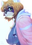  2018 absurd_res anthro aruurara big_breasts biped black_fur black_markings black_nose blonde_hair blush breasts brown_fur brown_hair bust_portrait cheek_tuft chest_tuft clenched_teeth clothed clothing digital_media_(artwork) digital_painting_(artwork) eye_markings eyelashes female fur green_eyes grey_clothing hair hi_res hoodie inner_ear_fluff japanese kemono looking_at_viewer mammal markings mask_(marking) multicolored_fur multicolored_hair one-piece_swimsuit open_clothing open_jacket pink_clothing portrait procyonid raccoon school_swimsuit short_hair side_boob side_view simple_background snout solo swimsuit teeth tuft two_tone_hair wet white_background white_fur 