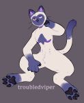  agender anthro beauty_mark cat claws digital_media_(artwork) eyebrows fangs feline gender_neutral heterochromia mammal multi_nipple nipples pawpads paws pointy_teeth sammy_the_siamese scar siamese socks_markings solo surgery_scars top_surgery troubledviper whiskers 