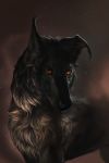  2018 ambiguous_gender black_fur black_nose canine digital_media_(artwork) feral fur mammal orange_eyes shwonky simple_background solo standing 