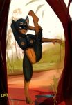  2017 4_toes absurd_res anthro biped black_ears black_eyebrows black_fur black_nose breasts brown_eyes brown_fur brown_nipples brown_pussy canine detailed_background digital_media_(artwork) digital_painting_(artwork) digitigrade dirtyscoundrel doberman dog female flexible forest front_view fur gloves_(marking) hand_behind_head hi_res mammal markings mountain multicolored_fur navel nipples nude on_one_leg outside pinup pose pussy raised_leg signature simple_pussy snout socks_(marking) solo standing toes tree two_tone_fur 