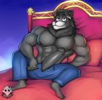  anthro bed big_penis bulge clothed clothing elfein feline humanoid_penis lion looking_at_viewer male mammal muscular muscular_male pecs penis sitting smile solo spread_legs spreading topless unzipped 