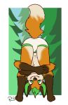  anthro briefs brown_fur bulge butt canine child clothing cub fox fur green_hair hair male mammal orange_fur presenting presenting_hindquarters roger_the_cat solo underwear white_fur young 