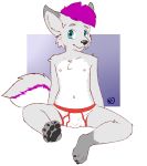  4_toes anthro black_nose blue_eyes briefs bulge canine child clothing cub dog fur grey_fur hair husky male mammal navel nipples pawpads pink_fur pink_hair roger_the_cat sitting solo toes underwear white_fur young 