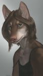  2018 anthro brown_fur brown_hair canine clothed clothing digital_media_(artwork) dog female fur green_eyes hair looking_at_viewer mammal off_shoulder shwonky simple_background solo 