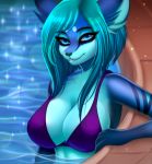  2018 adorableinall big_breasts bikini blue_eyes blue_fur breasts cleavage clothed clothing eyebrows eyelashes feline female fur gloves_(marking) looking_at_viewer lynx mammal markings red_nose smile solo swimming_pool swimsuit vasta water 