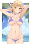  adjusting_hair aegis_(takunomi) armpits arms_behind_back arms_behind_head ass_visible_through_thighs bangs bare_arms beach bikini blonde_hair blue_bikini blue_sky border breasts breasts_apart cloud collarbone commentary_request covered_nipples cowboy_shot day elf eyebrows_visible_through_hair folded_ponytail green_eyes hair_between_eyes highres large_breasts long_hair looking_at_viewer navel ocean original outdoors outline outside_border palm_tree parted_lips pointy_ears sand side-tie_bikini skindentation sky solo standing stomach swimsuit takunomi thighs tree underboob water 