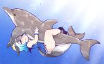  air_bubble animal bare_shoulders blue_eyes blue_hair blush bubble caustics commentary common_dolphin_(kemono_friends) day dolphin dolphin_tail eyebrows_visible_through_hair fins full_body gradient_hair grey_hair half-closed_eyes implied_bestiality implied_sex kemono_friends leg_lock multicolored_hair short_hair sleeveless tanaka_kusao underwater wristband 
