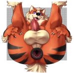  absurd_res anatomically_correct anatomically_correct_penis animal_genitalia animal_penis anthro anus arcanine arcy_the_arcanine balls big_anus big_balls big_butt butt canine canine_penis gaping gaping_anus hi_res huge_anus hyper hyper_anus kenjiii looking_at_viewer male mammal nintendo open_mouth penis pok&eacute;mon pok&eacute;mon_(species) presenting puffy_anus purple_eyes solo stripes sweat video_games 